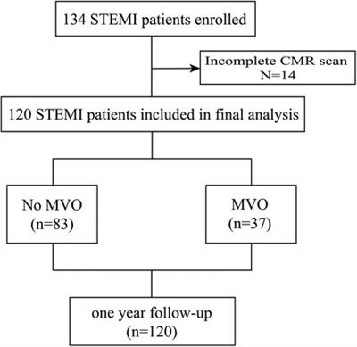 Association of GSDMD with microvascular-ischemia reperfusion injury after ST-elevation myocardial infarction